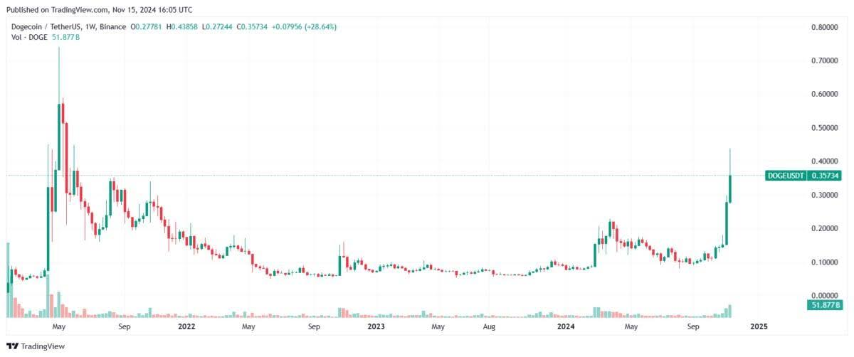 Dogecoin rose by almost 300% this year. Source: Tradingview.com 