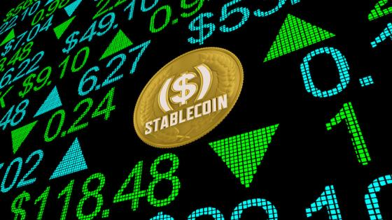 Stablecoins in Demand (Source: CEPR)
