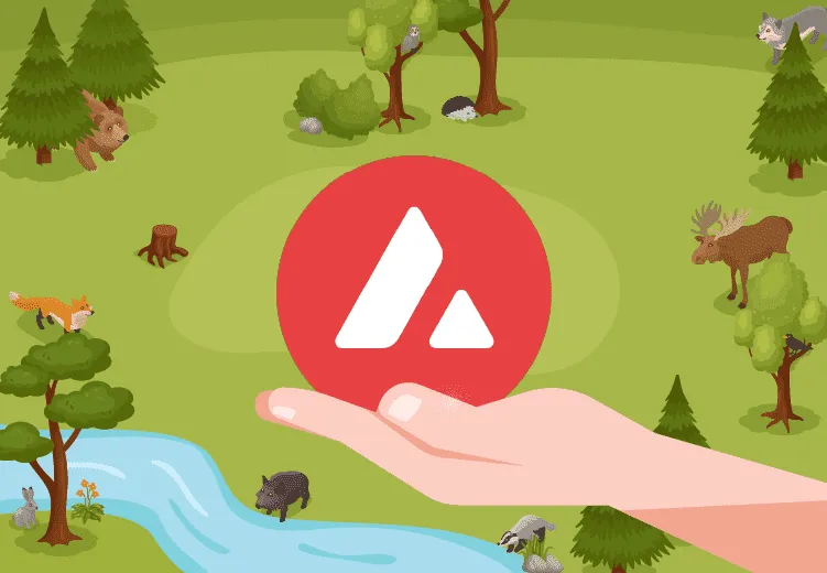 Avalanche. Source: CoinSpot