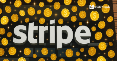 Payment Giant Stripe Building New Stablecoin Product, Bypassing US, EU and UK