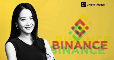 Binance Co-Founder He Yi Addresses Crypto Price Criticism