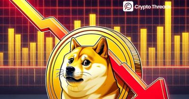 Dogecoin Slips as Activity and Social Metrics Decline