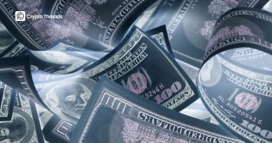 dark stablecoins