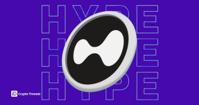 Hyperliquid Whale Flips