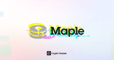 maple finance