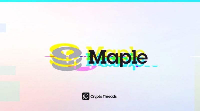 maple finance
