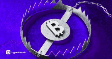 bitcoint bull trap