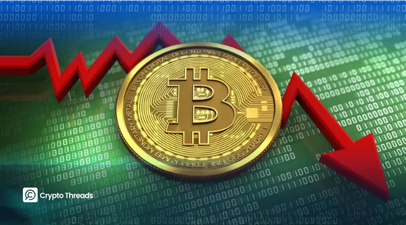 Bitcoin Treasury Growth Slows in Q4, but Major Companies Keep Accumulating BTC